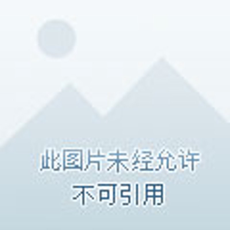 打造您的国际贸易朋友圈——选择贸易招商平台